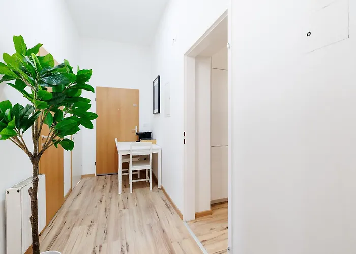Hostel Belvedere - & Renovated