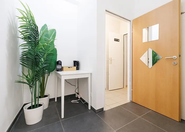 Belvedere - & Renovated Hostel